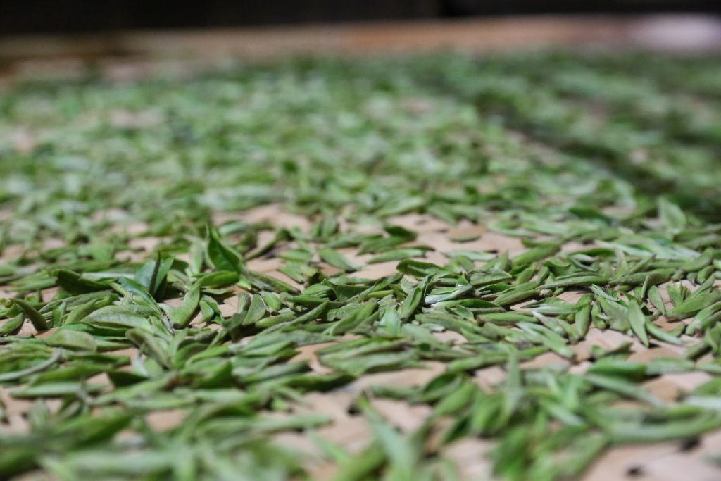 Tea processing