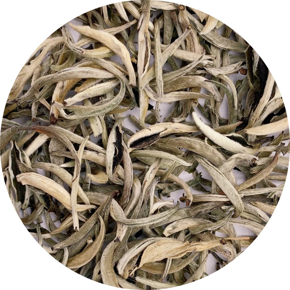Silver Needle